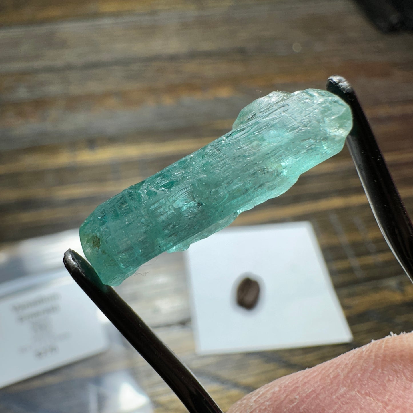 9.00ct VANADIUM EMERALD Facet Rough