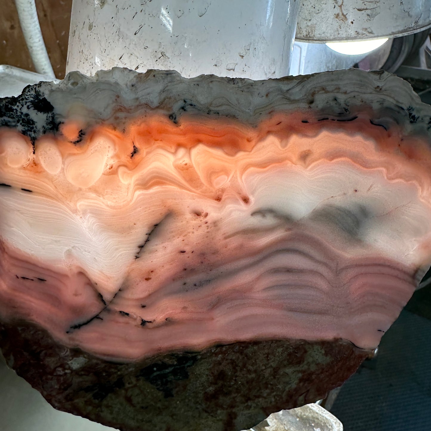 WINDY MOUNTAIN AGATE Slab - 473 grams