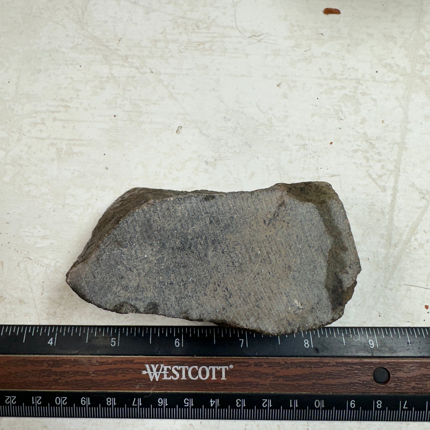 GEMBONE Dinosaur Bone Faced Rough - 0.95 Pounds