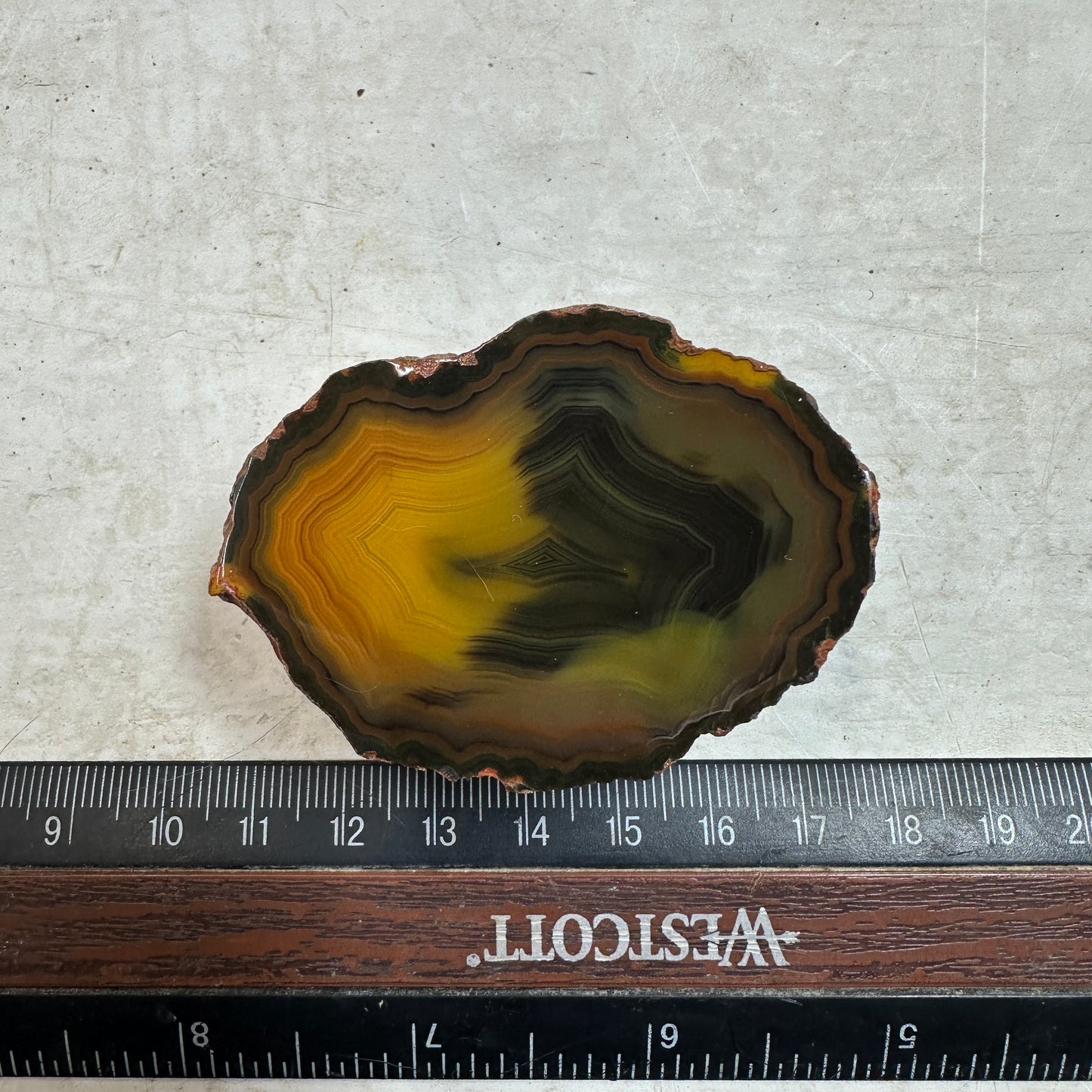 CONDOR AGATE Polished Specimen