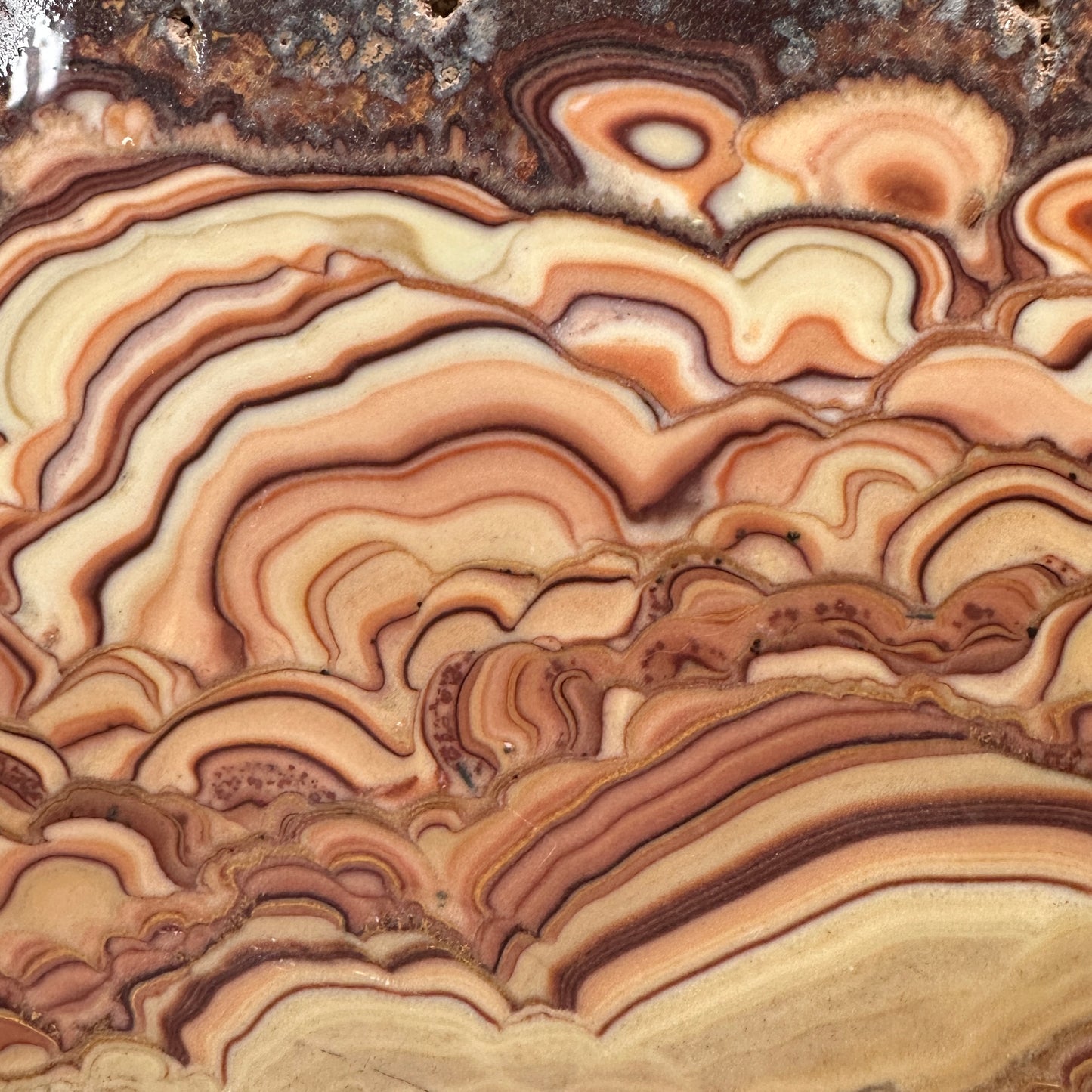 ROLLING HILLS DOLOMITE Slab - 313 grams