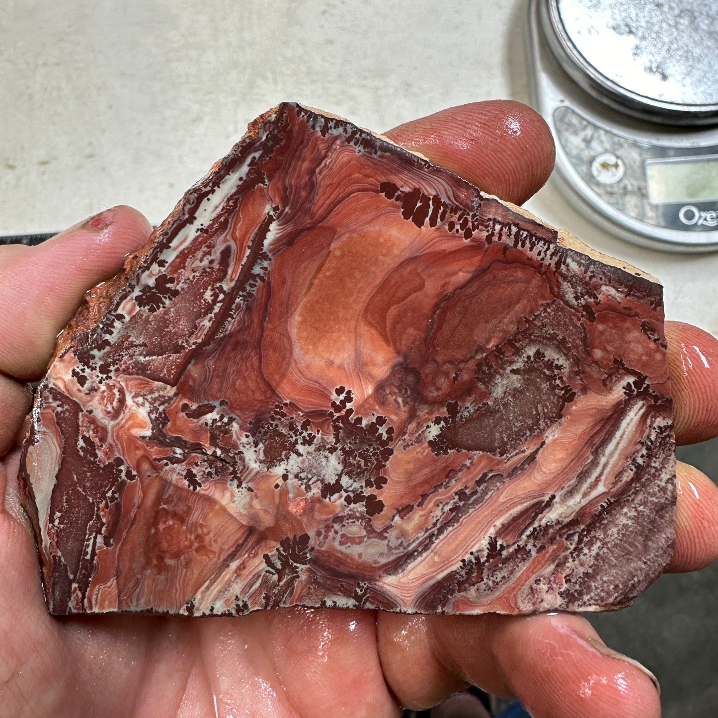 APACHE RHYOLITE Slab - 88 grams