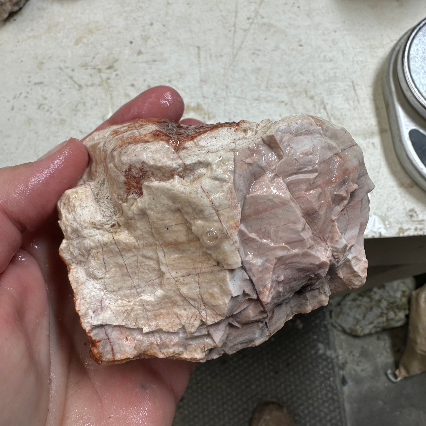 TIFFANY STONE Rough - 1.53 Pounds