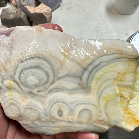 WINDY MOUNTAIN AGATE Rough - 1.38 Pounds