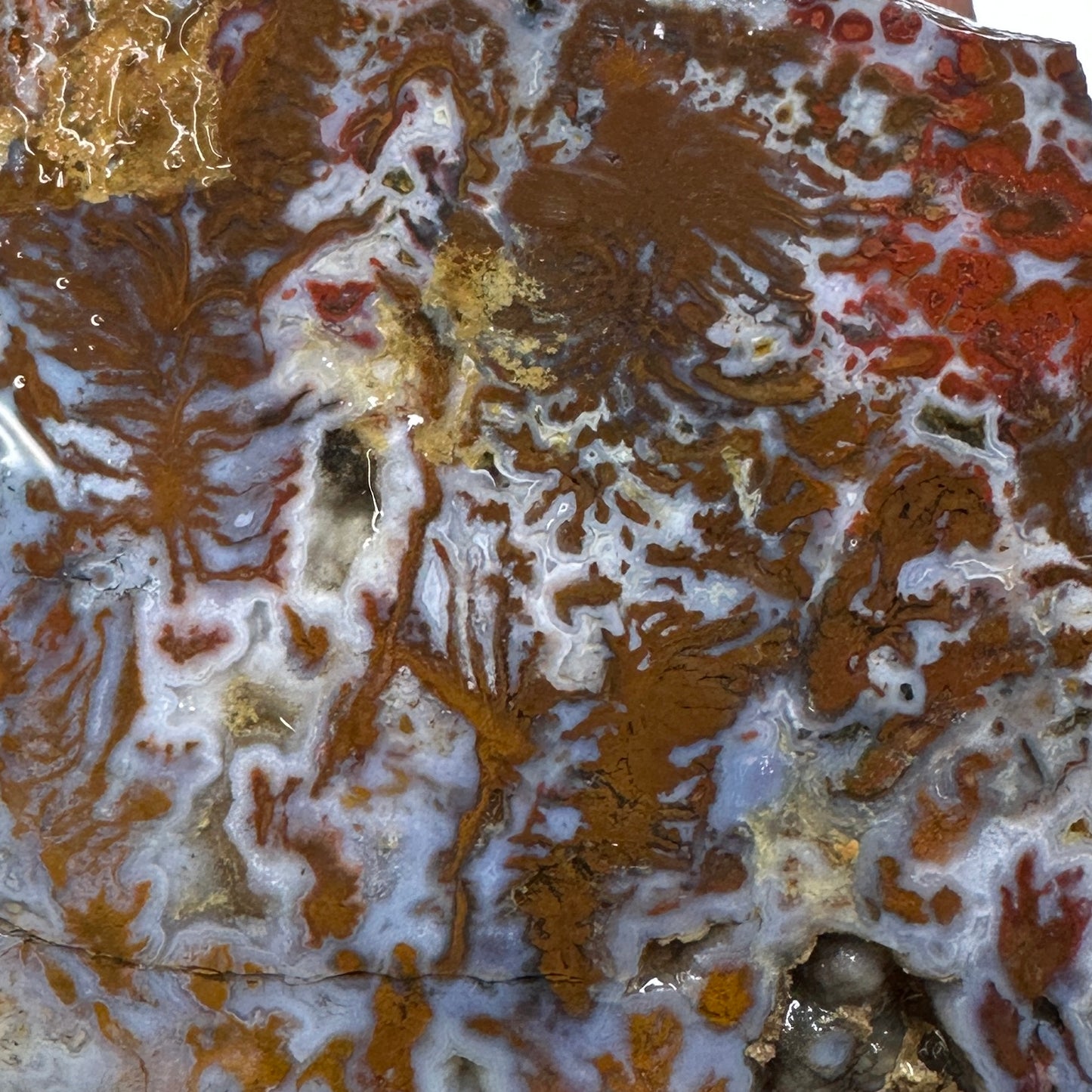 WINGATE PASS PLUME AGATE Windowed Rough - 0.79 Pounds
