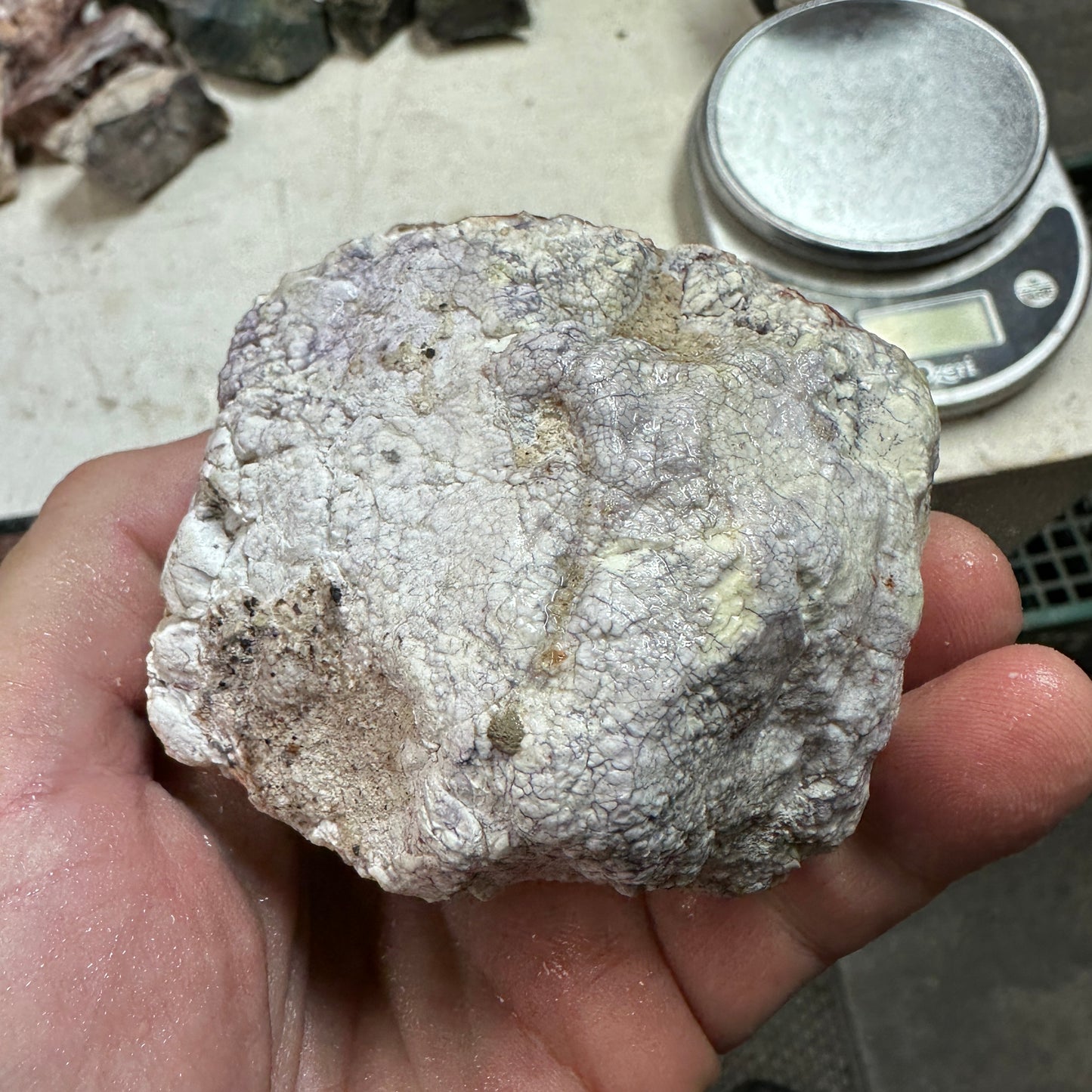 TIFFANY STONE Faced Rough - 1.08 Pounds