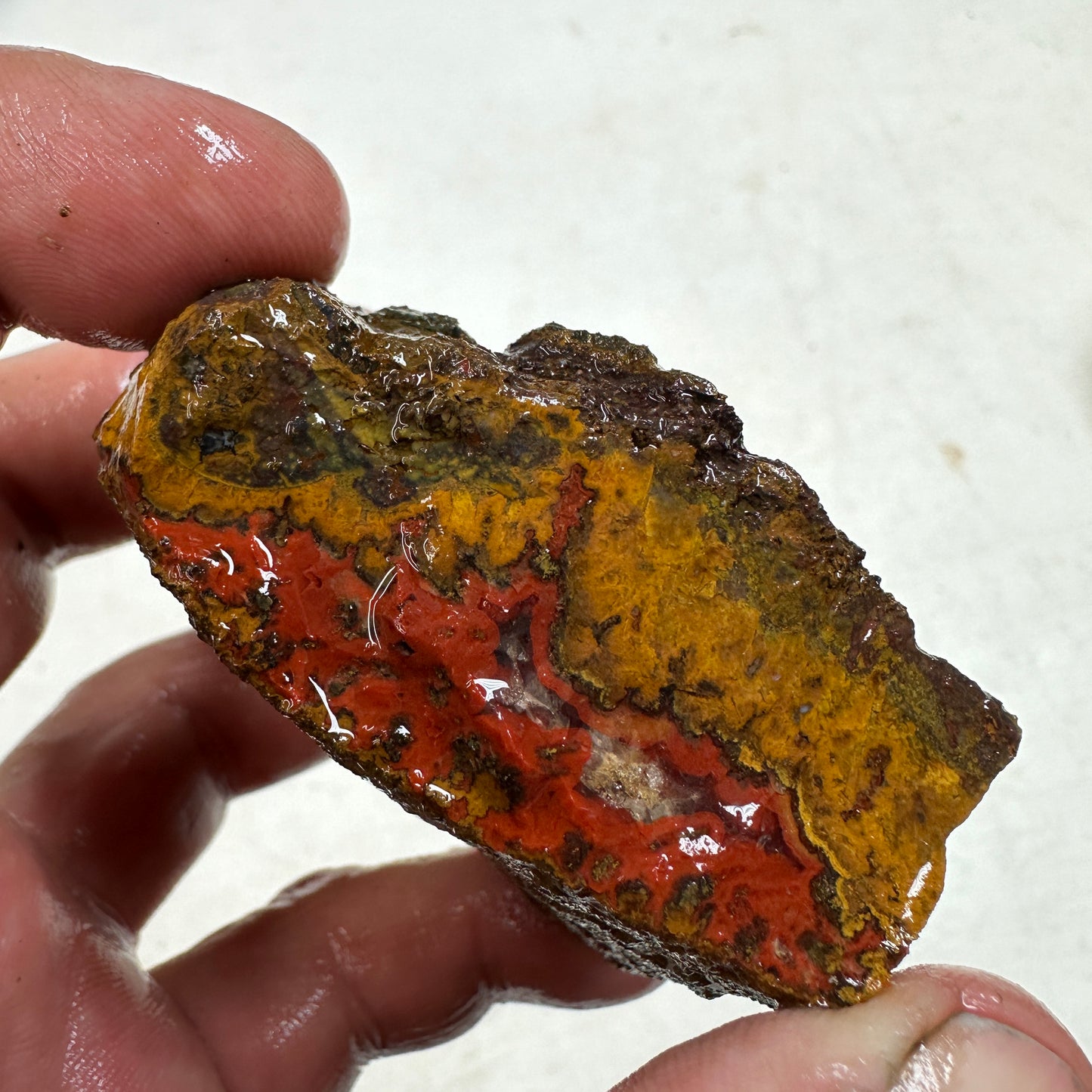 MOROCCAN SEAM AGATE Rough - 0.49 Pounds