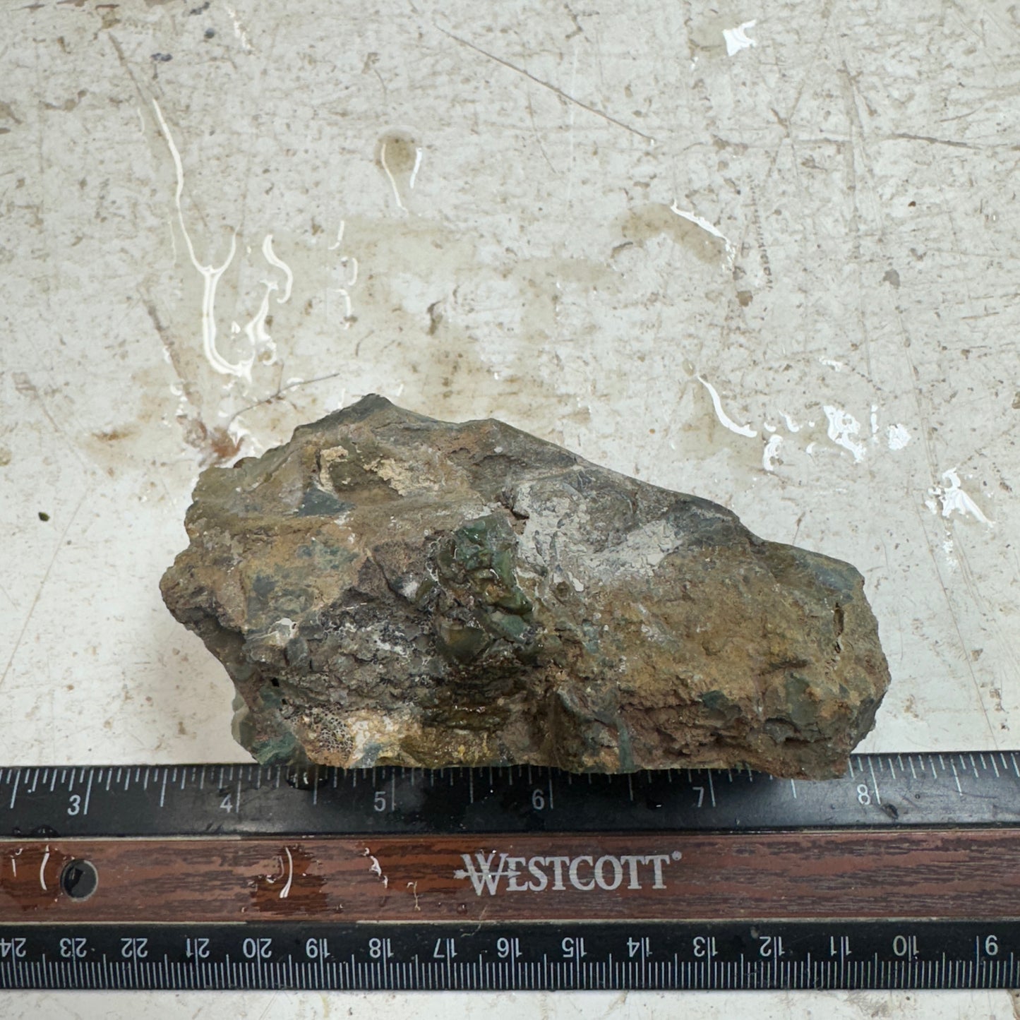 ECHO RIDGE JASPER Rough - 0.69 Pounds