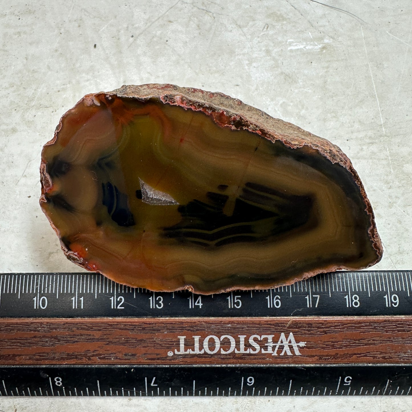 CONDOR AGATE Polished Specimen