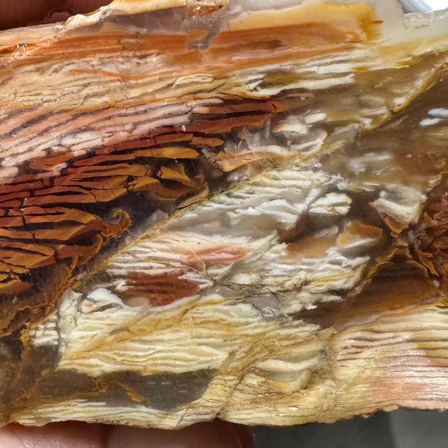 Sunset HOWARDITE Faced Rough - 0.71 pounds