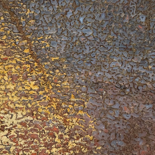 GEMBONE Dinosaur Bone Slab - 85 grams