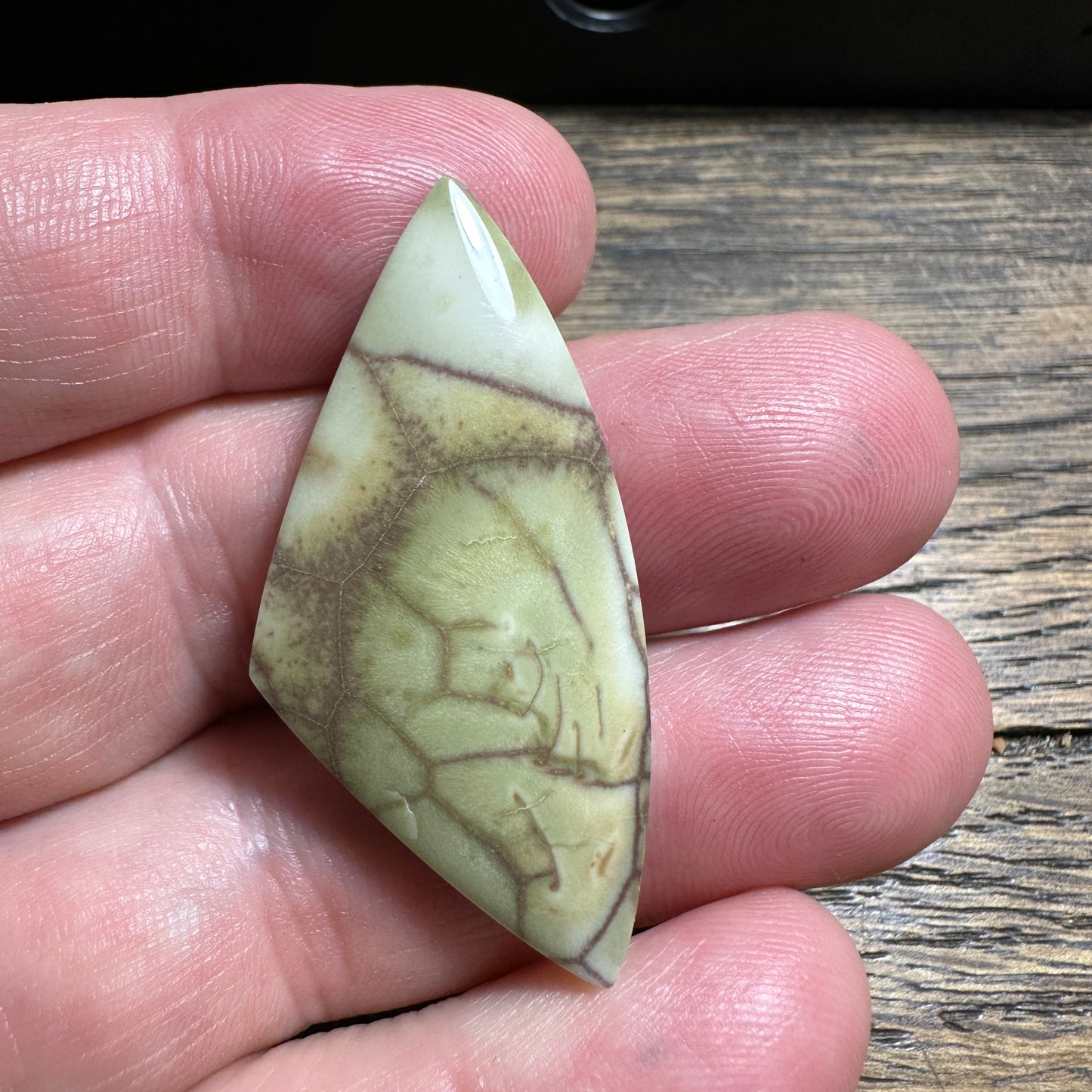 SPIDERWEB JASPER cabochon