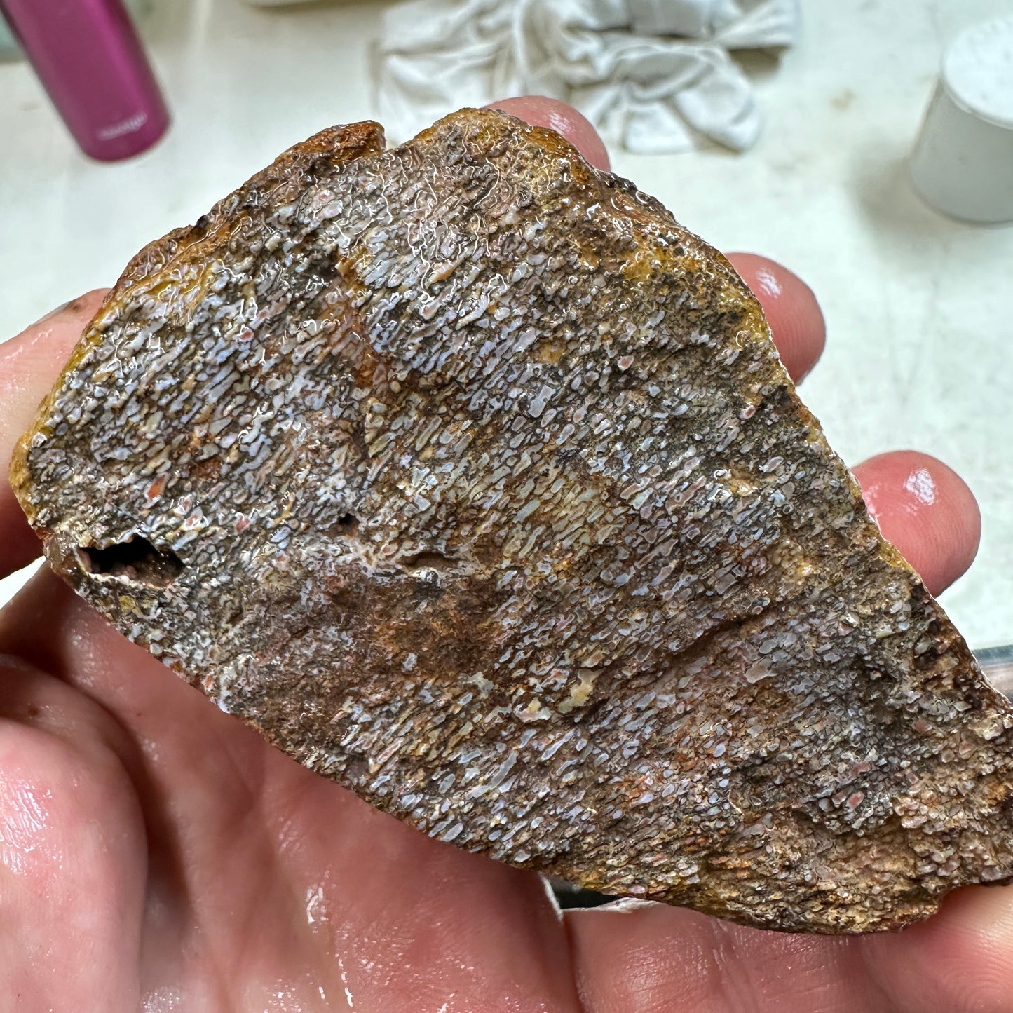 GEMBONE Dinosaur Bone Faced Rough - 0.86 Pounds