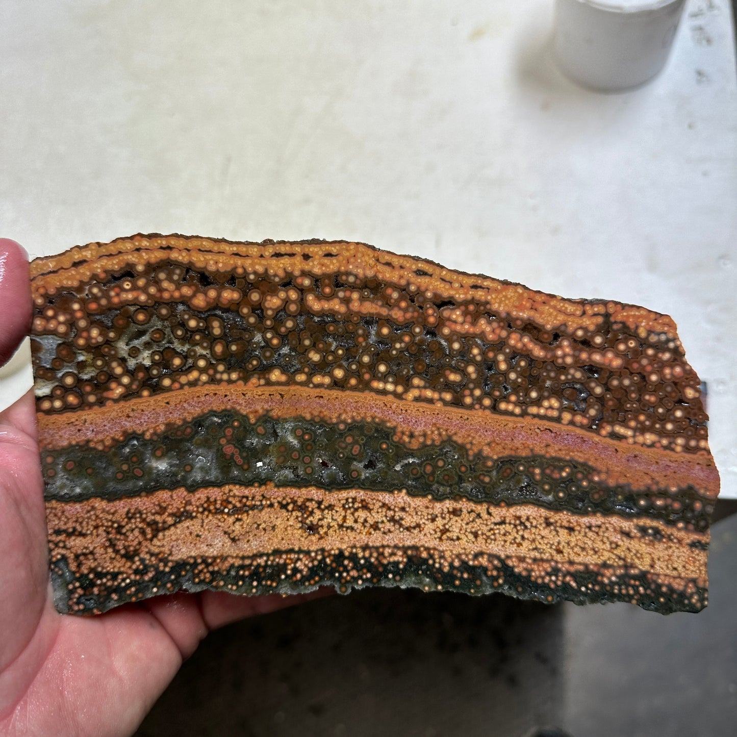 Chocolate RIVER JASPER Slab - 386 grams