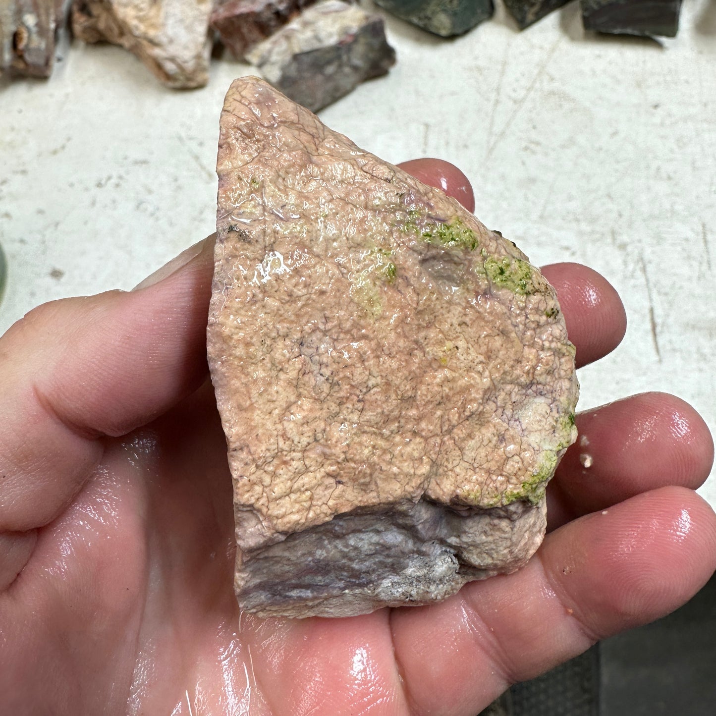 Rare Orbed TIFFANY STONE Rough - 0.66 Pounds