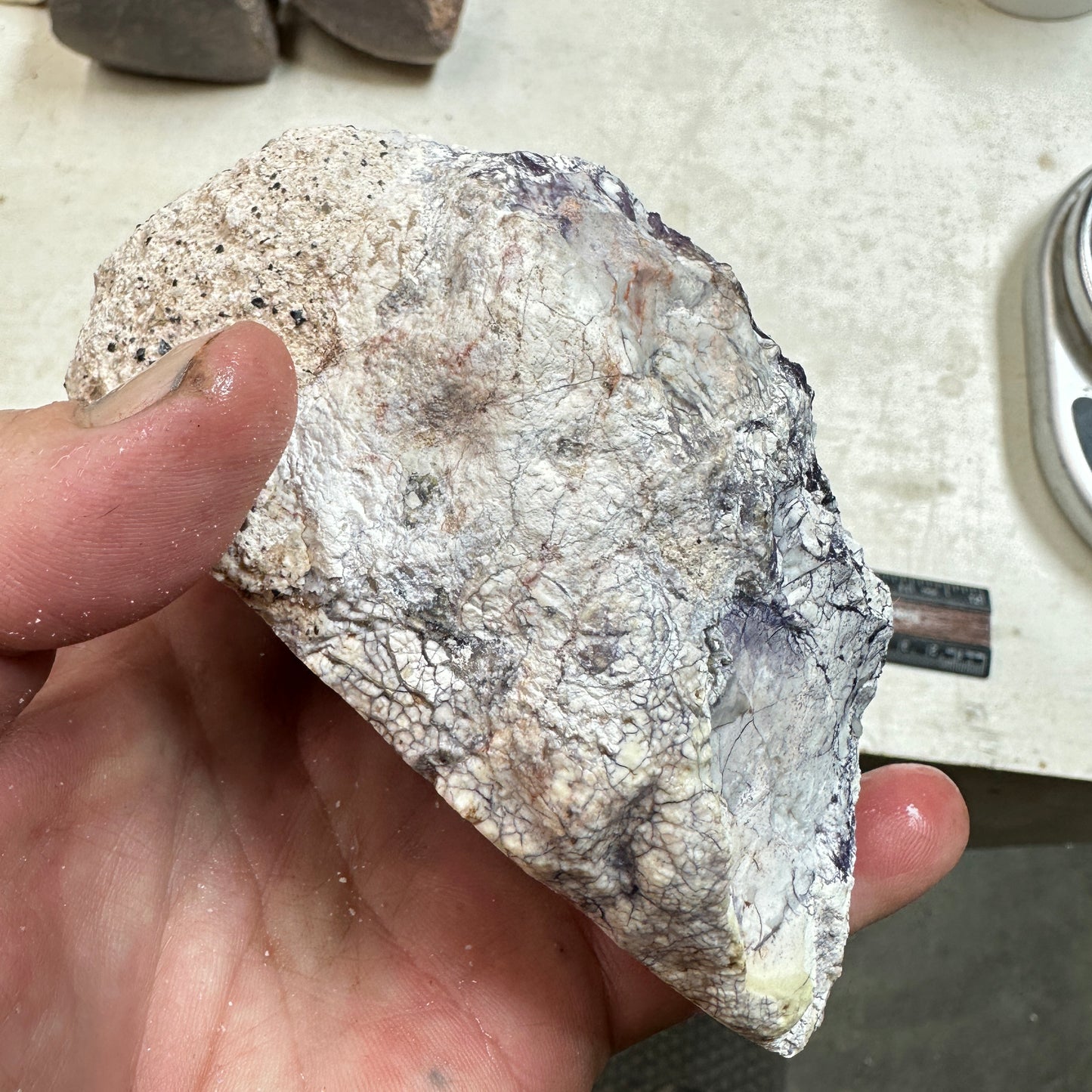 TIFFANY STONE Faced Rough - 1.57 Pounds