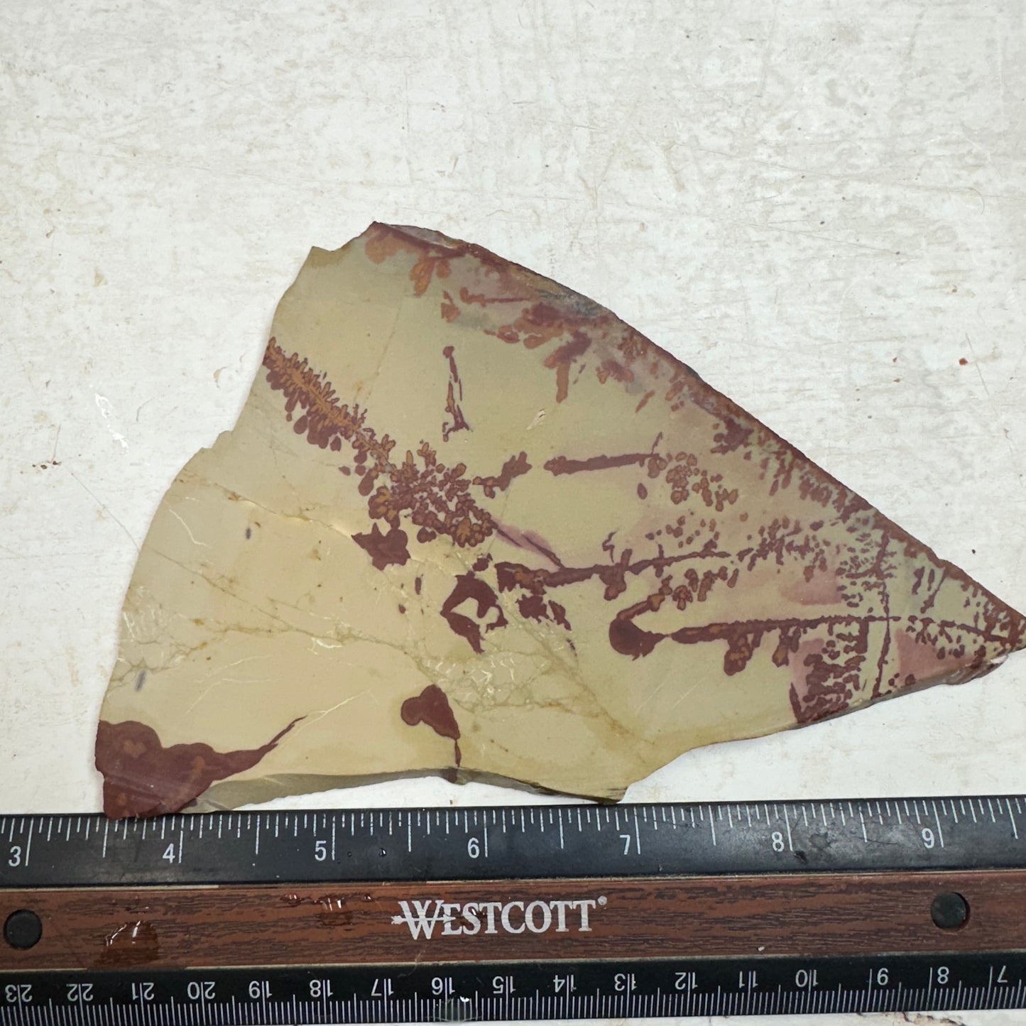 RED FLOWER OWYHEE JASPER Slab - 129 grams