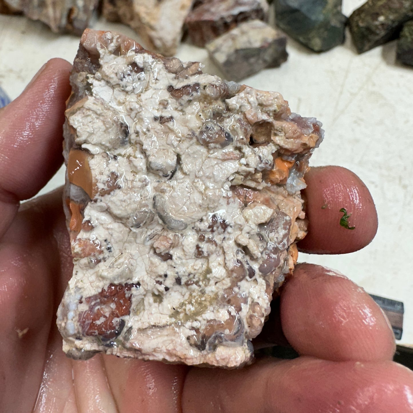 TIFFANY STONE Faced Rough - 0.55 Pounds