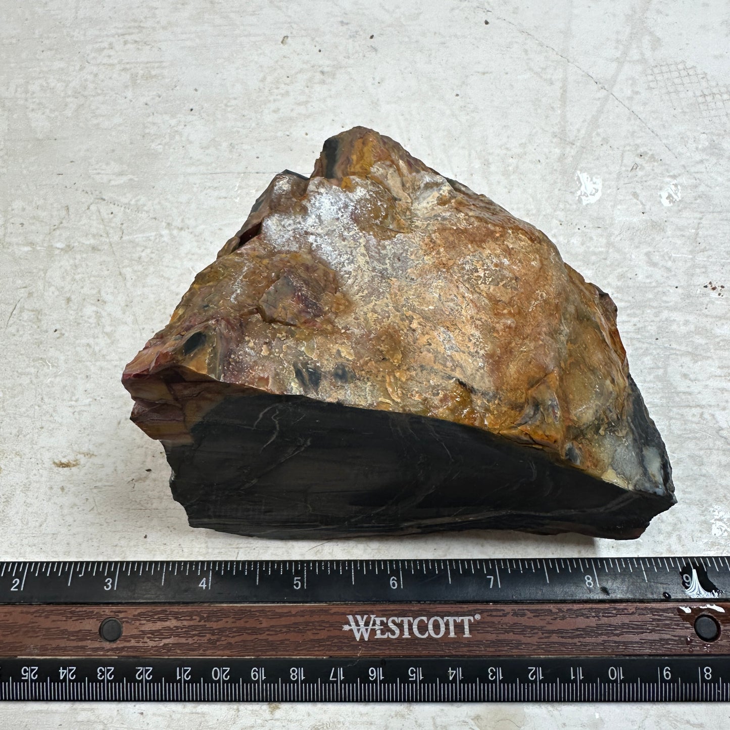 WINDY MOUNTAIN JASPER Faced Rough - 2.30 Pounds