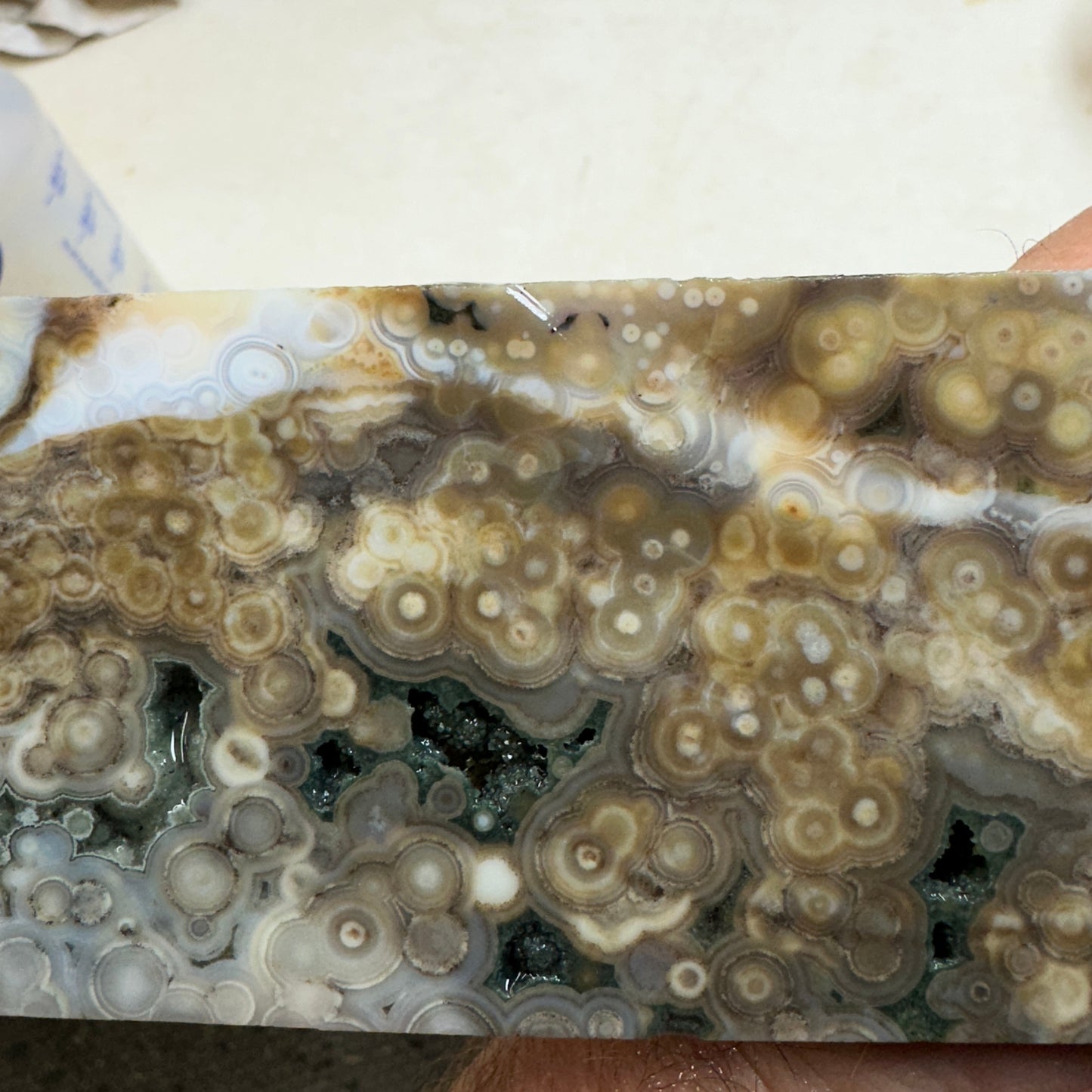 OCEAN JASPER Slab - 206 grams