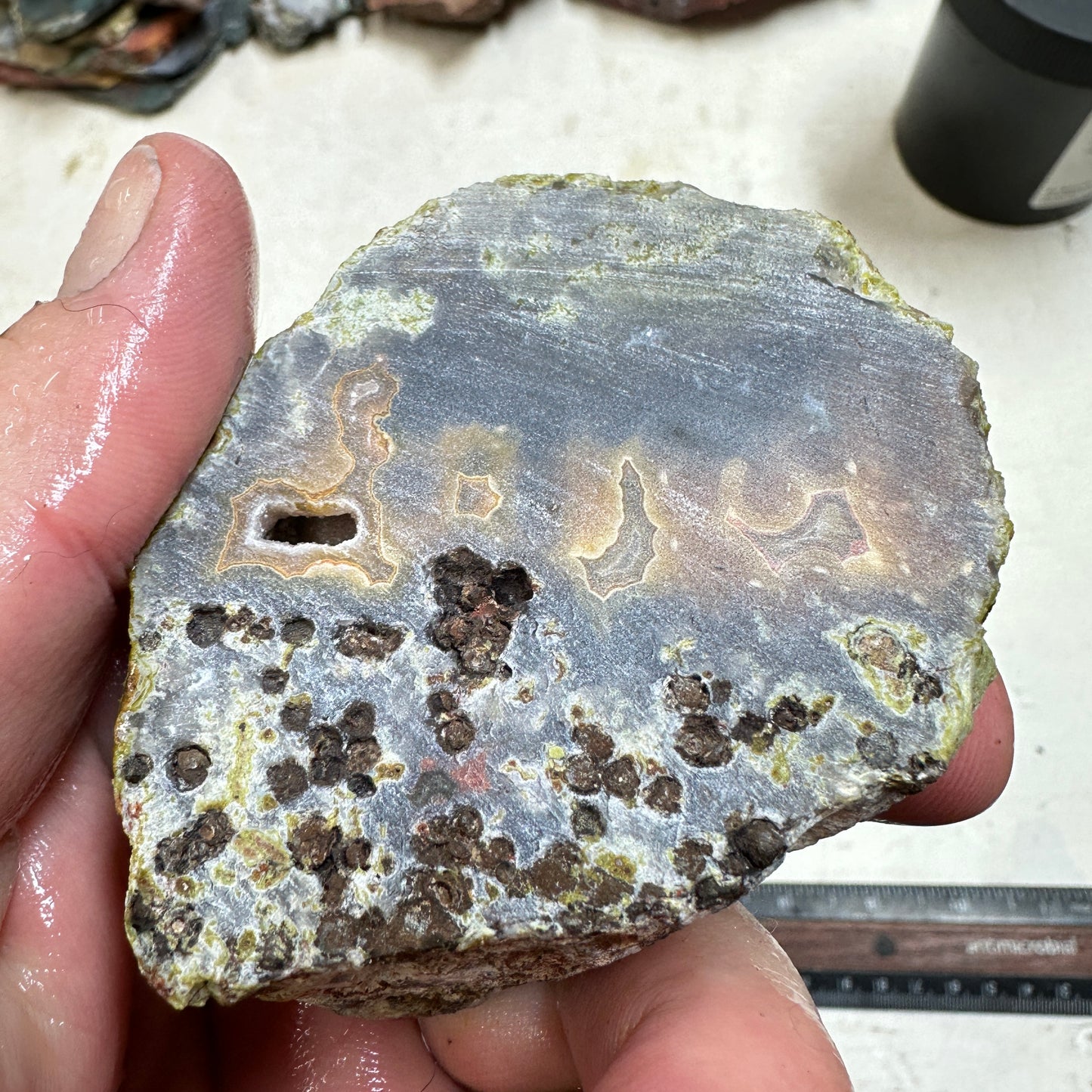 AGUA NUEVA AGATE Rough - 0.53 Pounds