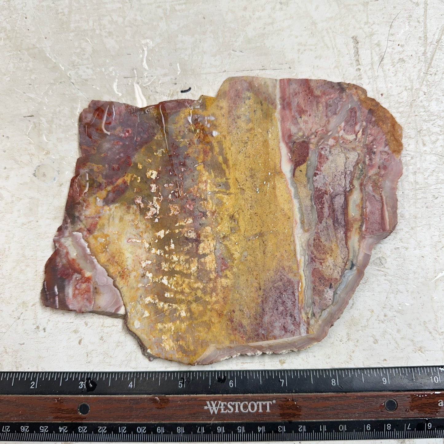 CONFETTI AGATE Slab - 370 grams