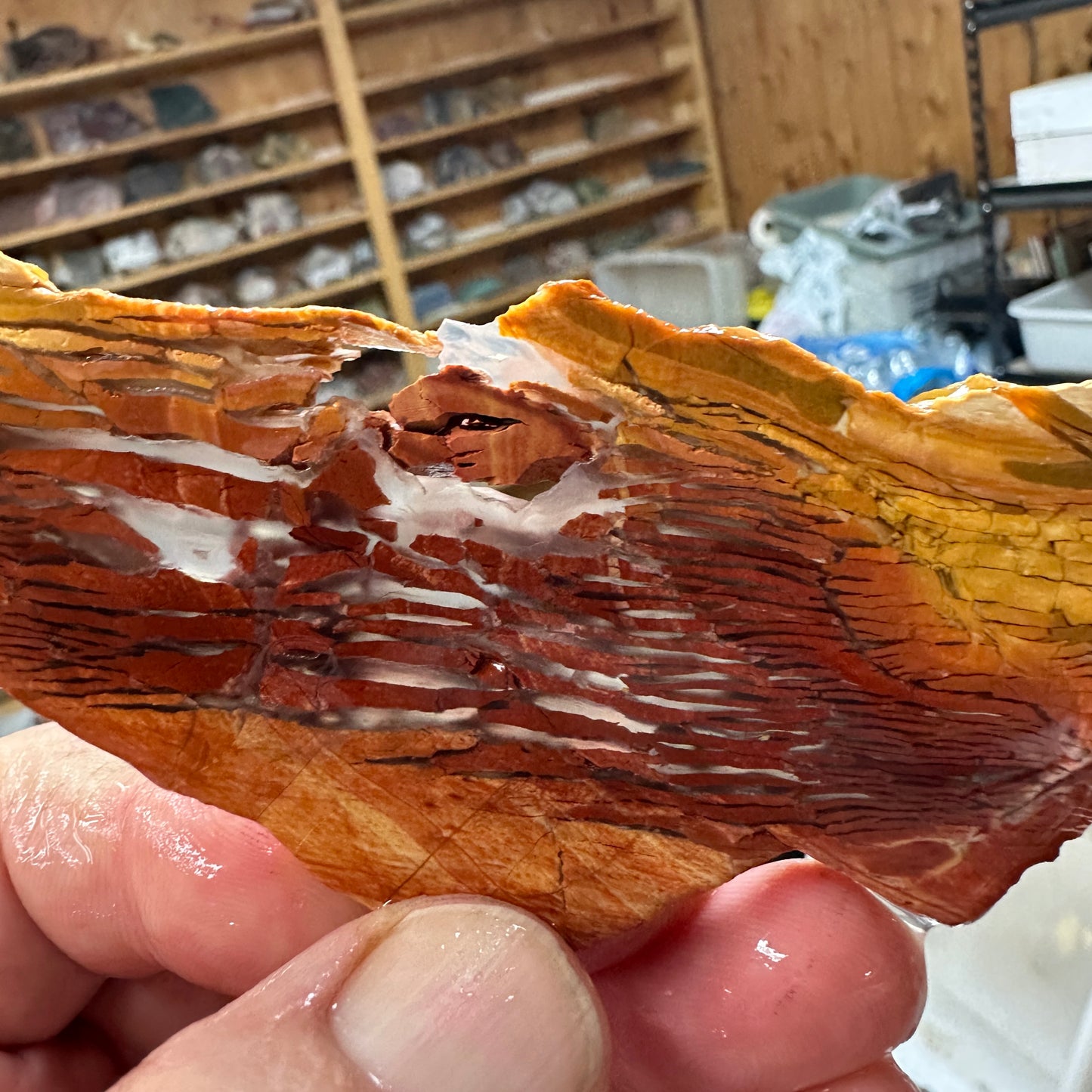 SUNSET HOWARDITE Slab - 56 grams