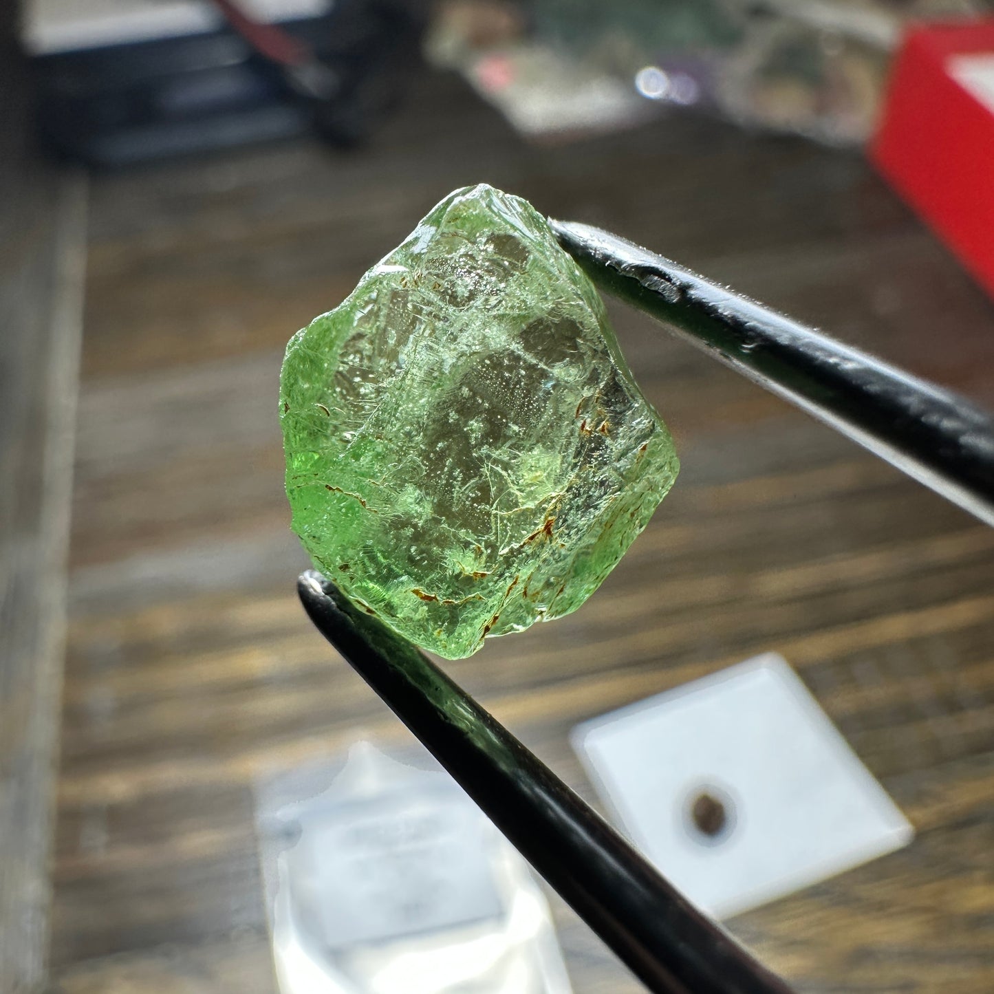 9.16ct GREEN DRAGON GARNET Facet Rough