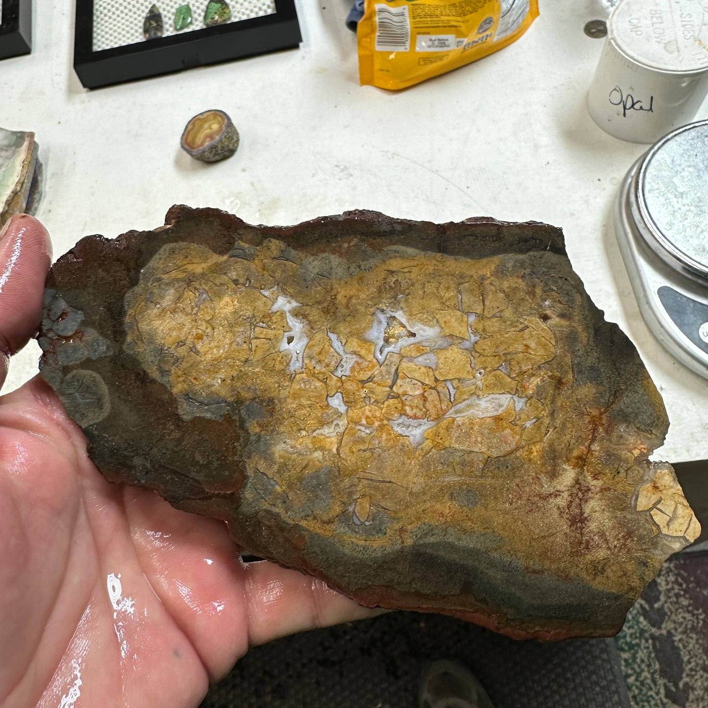 DRY CREEK JASPER Slab - 235 grams