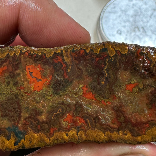 MOROCCAN SEAM AGATE Rough - 9.4ozs