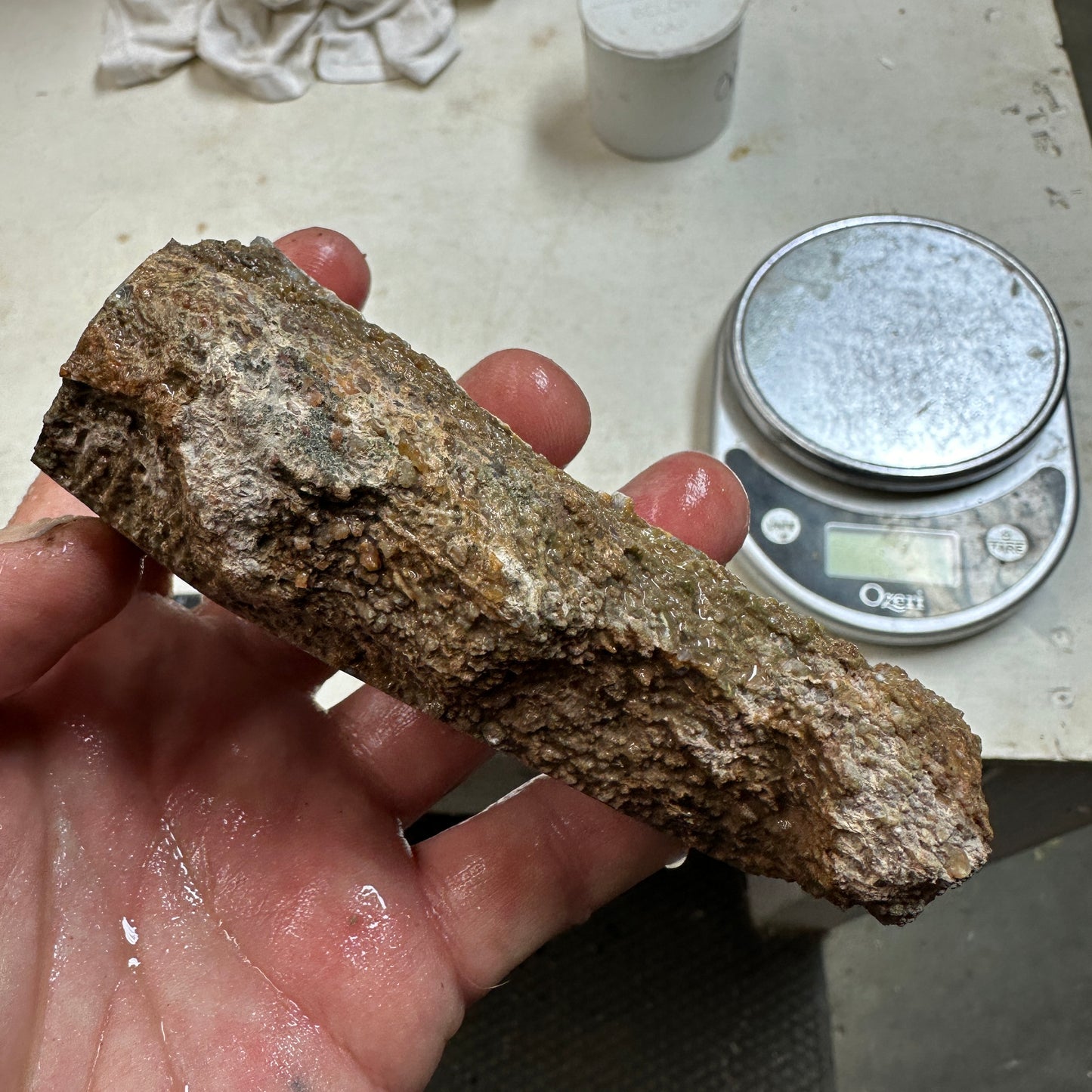 GEMBONE Dinosaur Bone Faced Rough - 0.98 Pounds