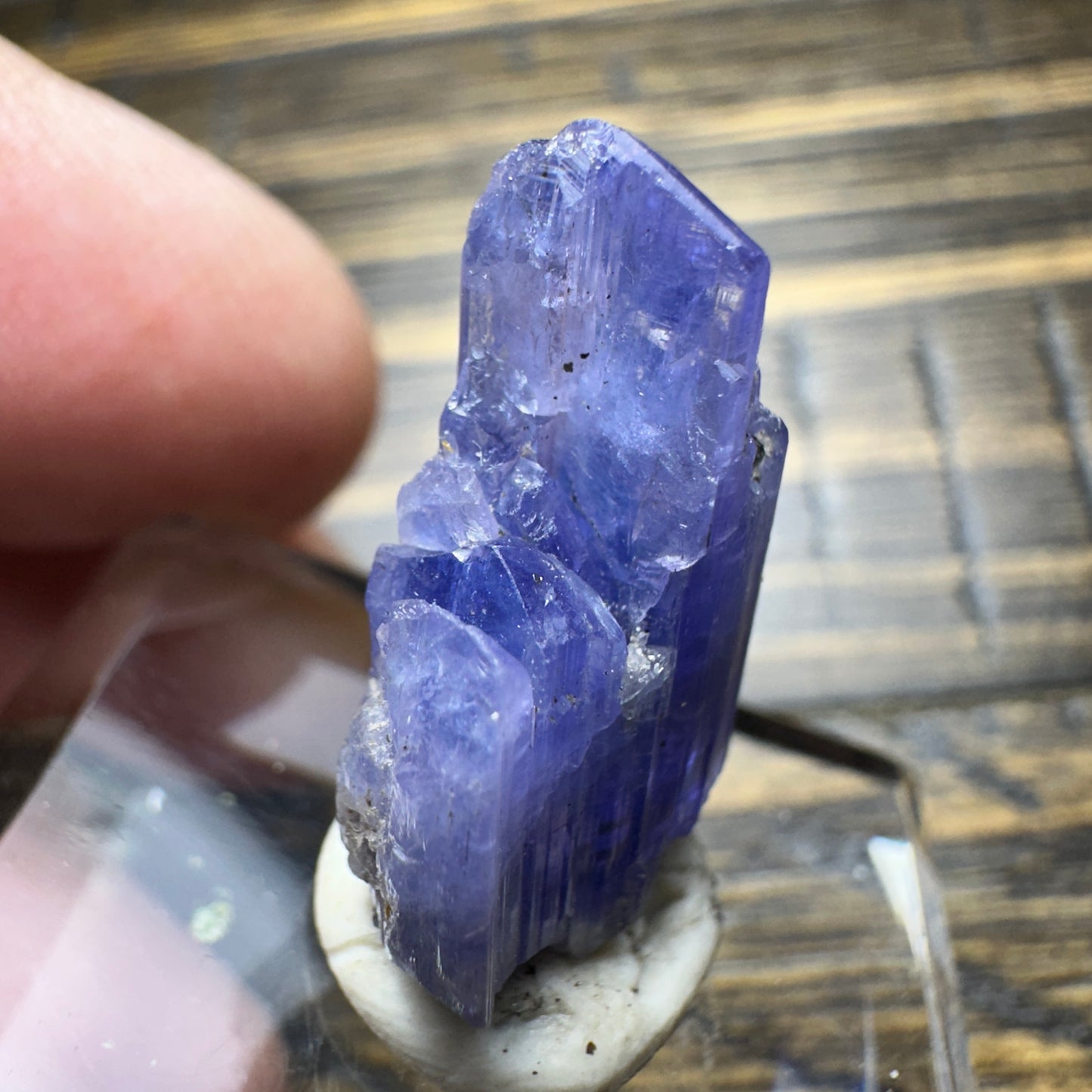 TANZANITE Crystal Display Mineral Specimen