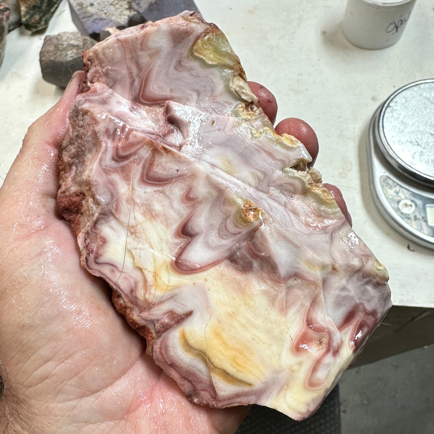 WINDY MOUNTAIN AGATE Faced Rough - 1.72 Pounds