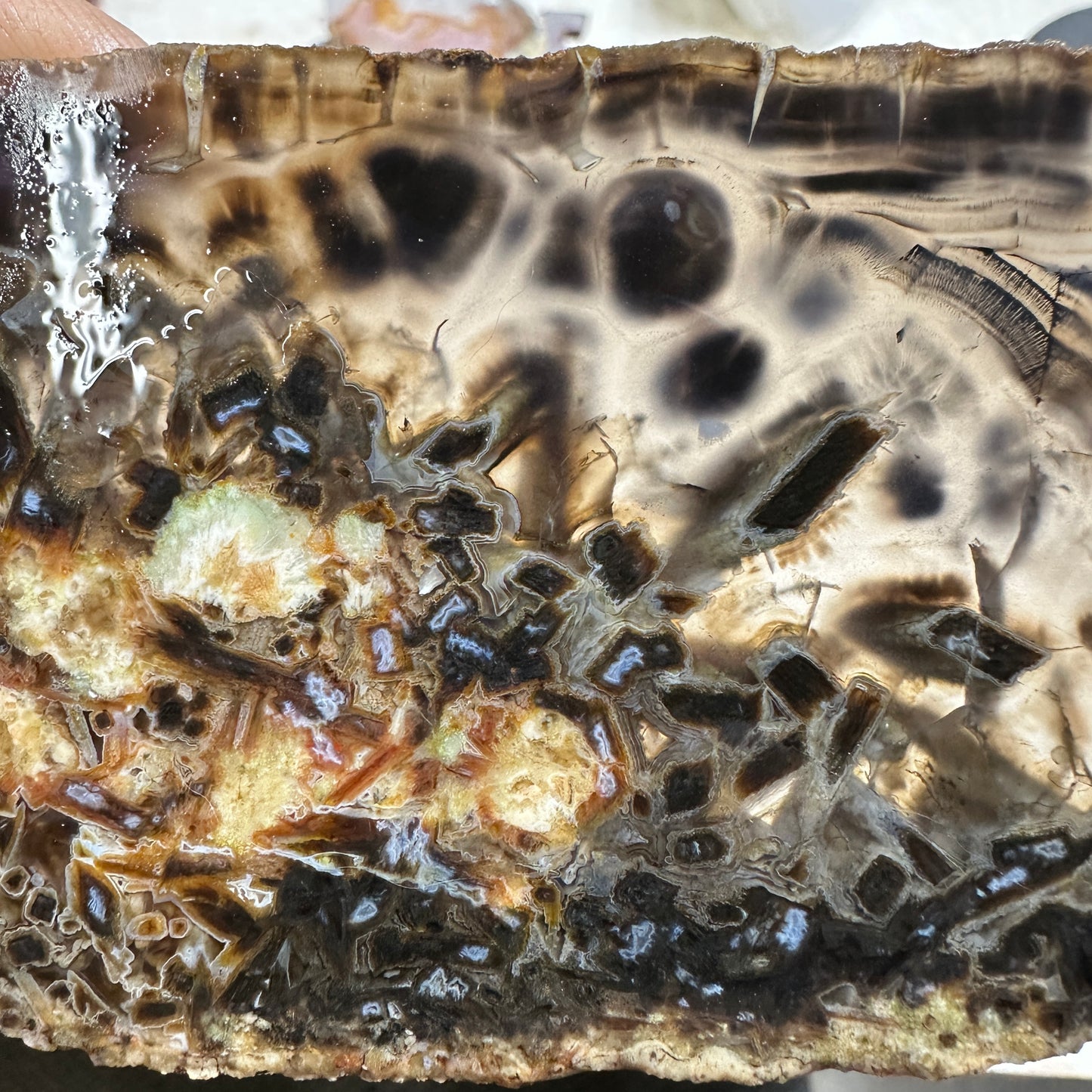 TURKISH STICK AGATE Slab - 77 grams