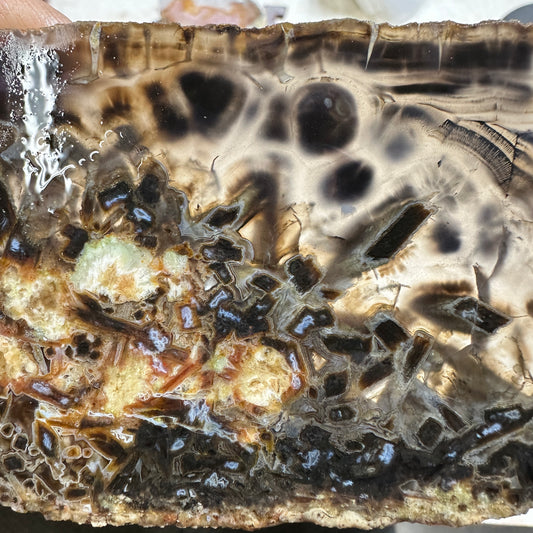TURKISH STICK AGATE Slab - 77 grams
