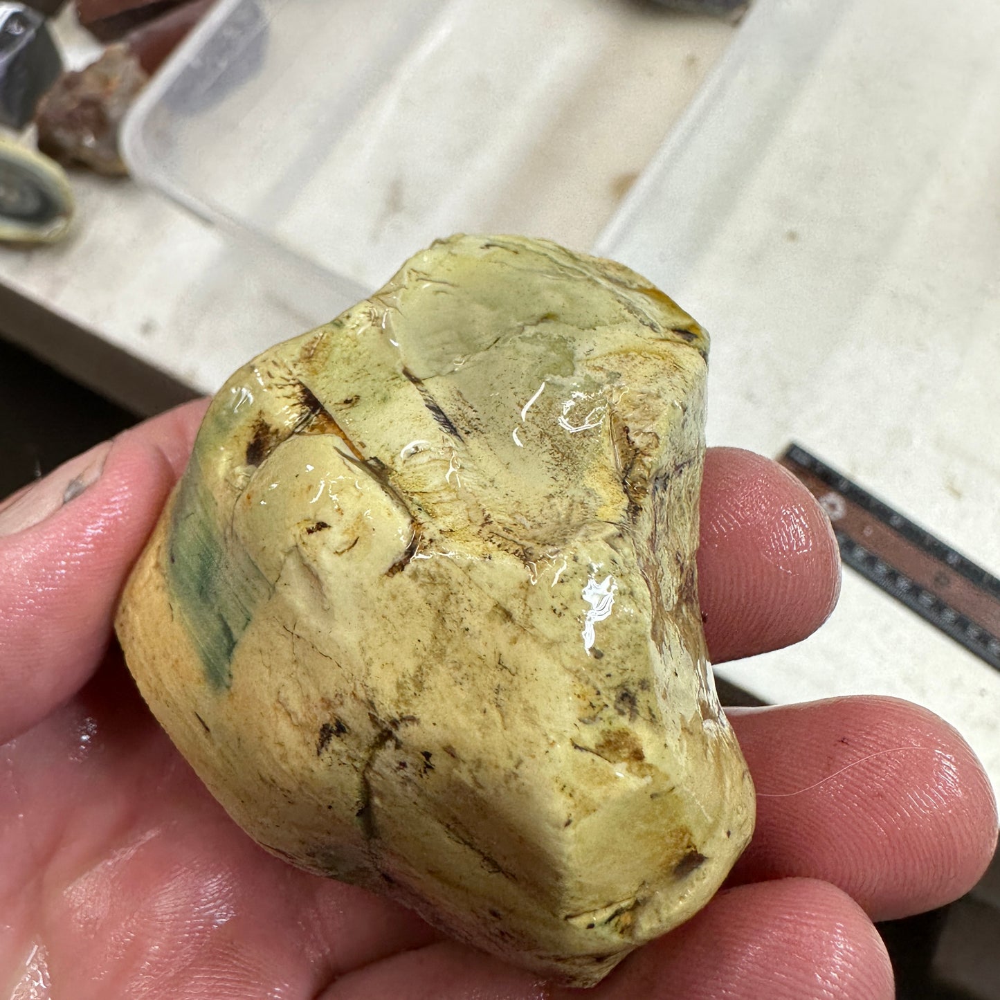 ROYAL IMPERIAL JASPER Faced Rough - 0.35 Pounds