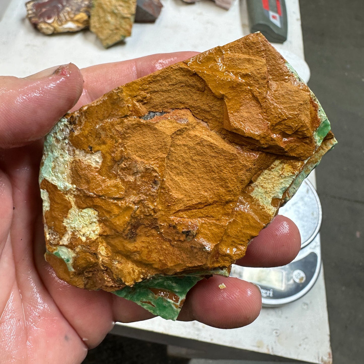 AUSTRALIAN VARISCITE Plate - 287 grams