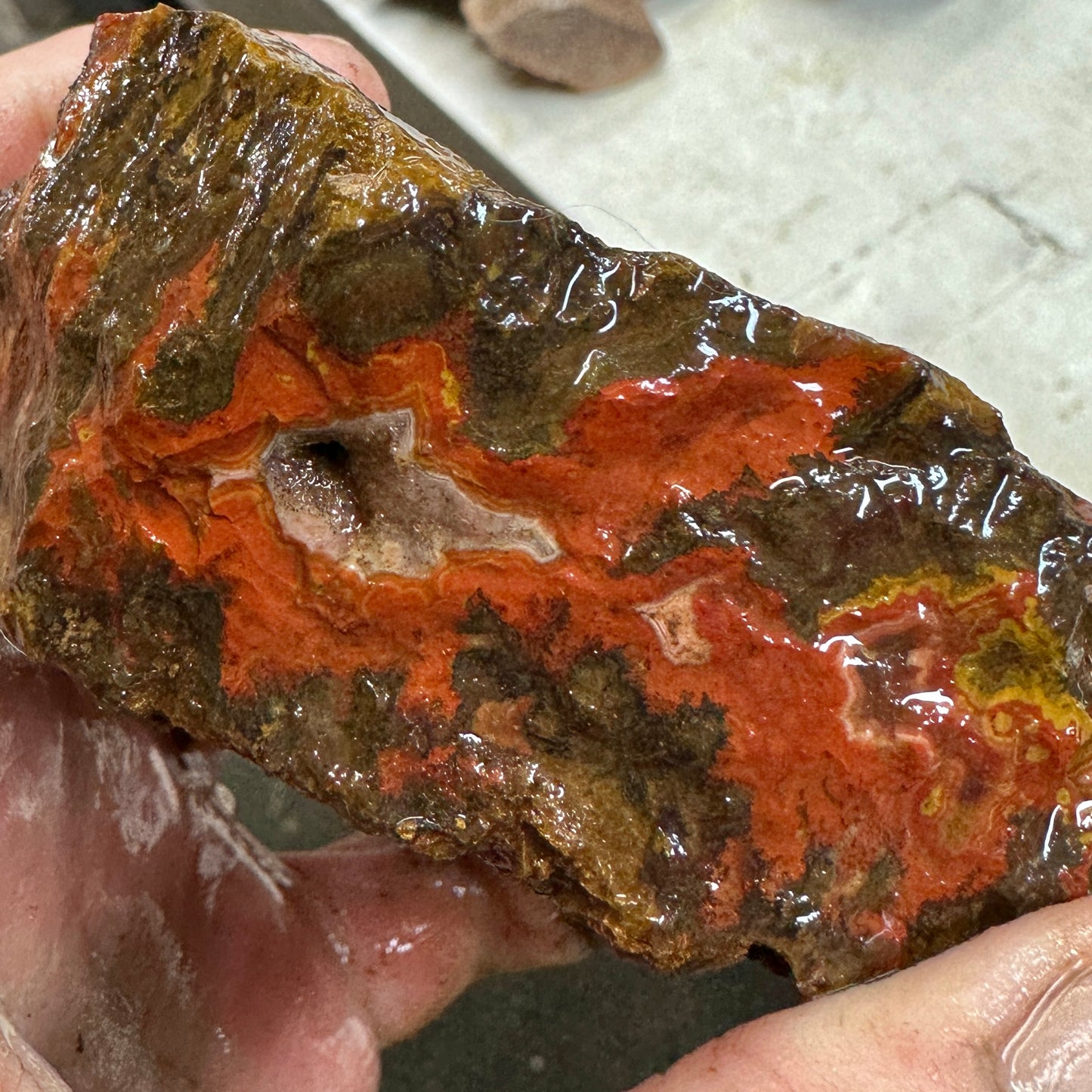 MOROCCAN SEAM AGATE Faced Rough - 1.39 Pounds