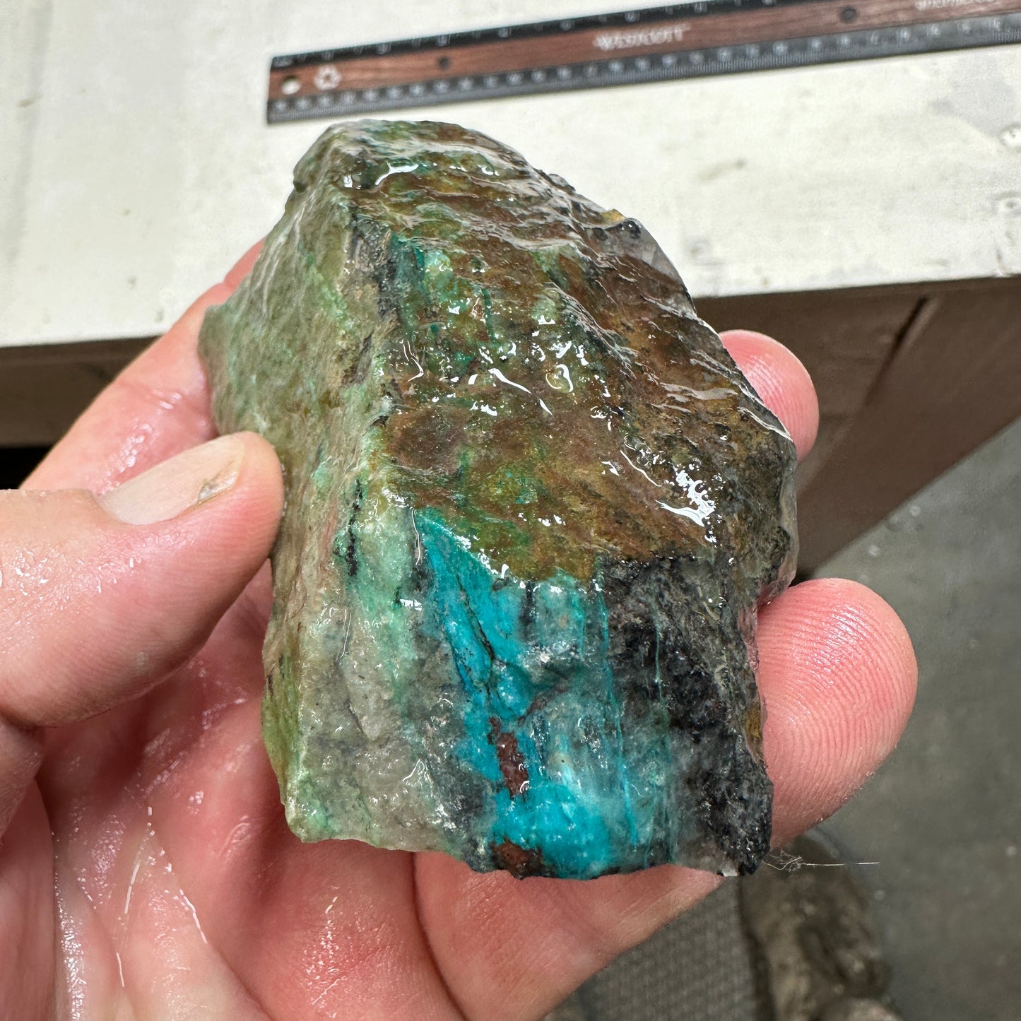 CHRYSOCOLLA IN QUARTZ Faced Rough - 221 grams