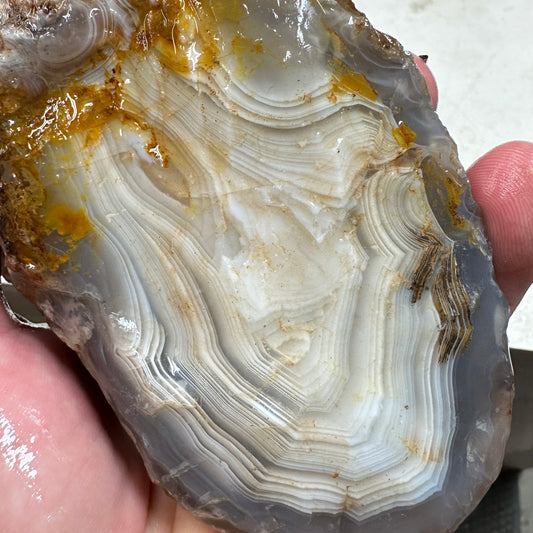 MOROCCAN AHOULI AGATE Rough - 2.62 Pounds