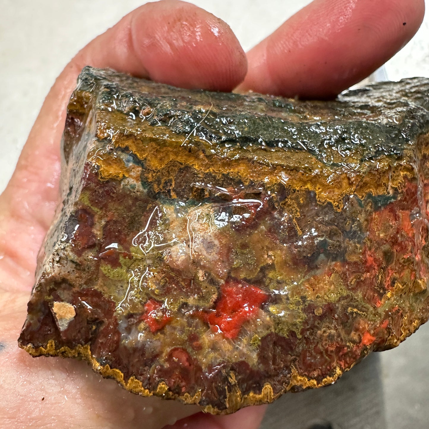 MOROCCAN SEAM AGATE Rough - 0.77 Pounds