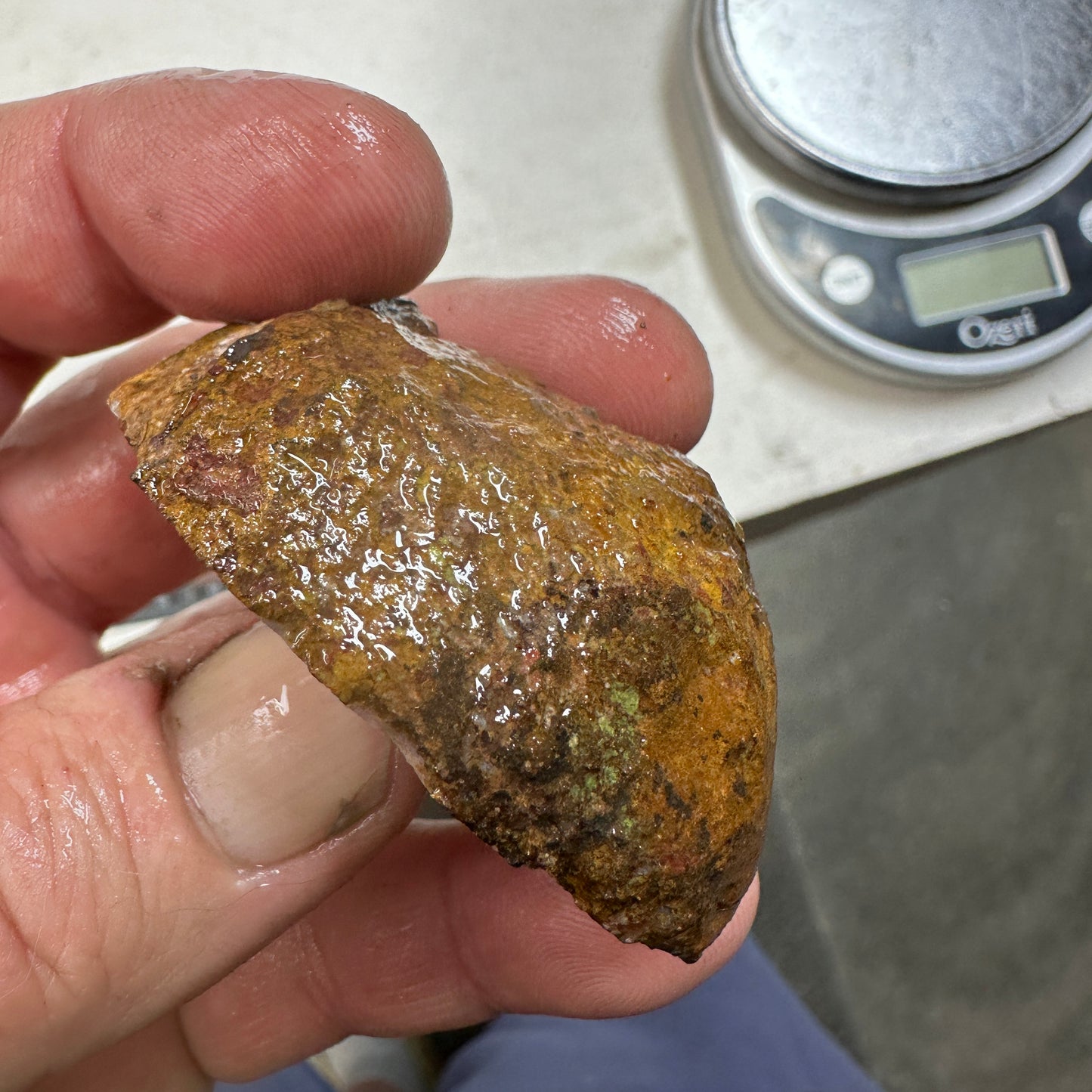 COYOMITO AGATE Rough - 0.20 Pounds