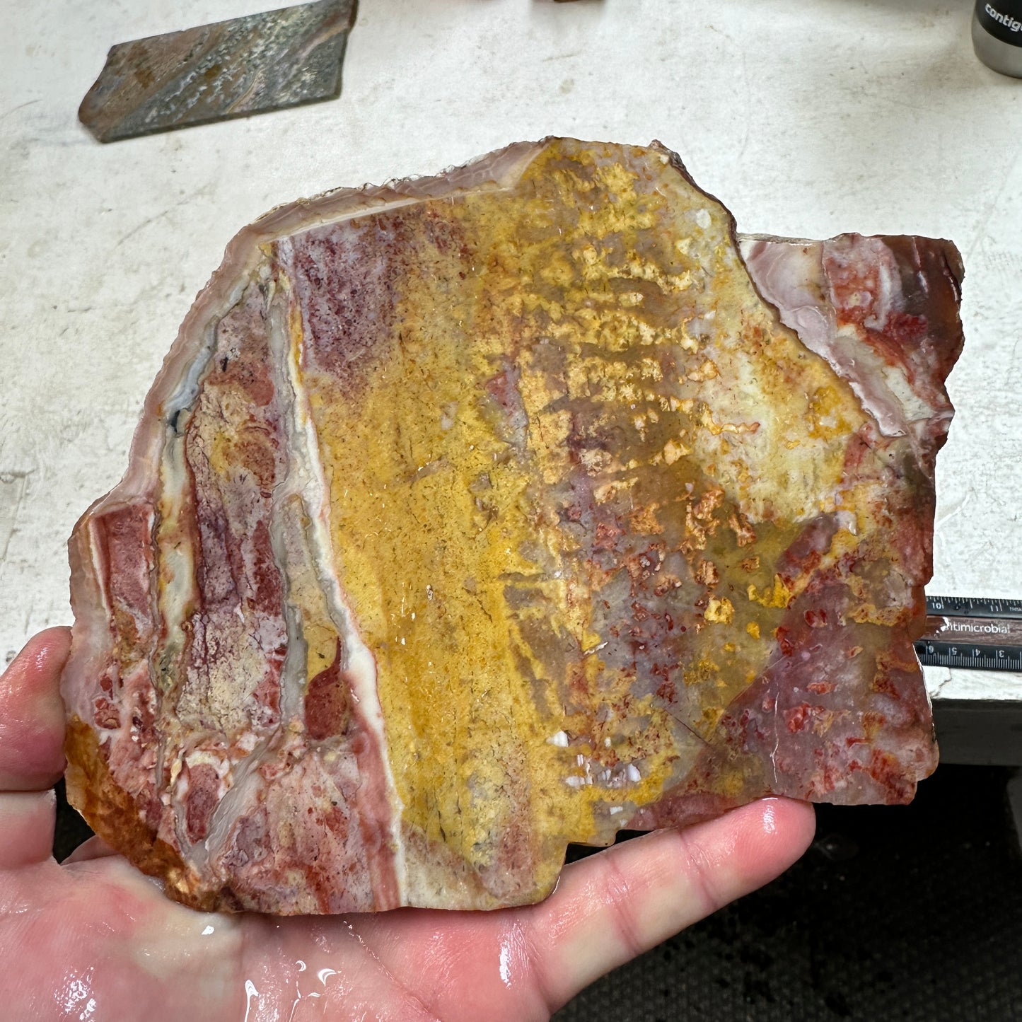 CONFETTI AGATE Slab - 370 grams