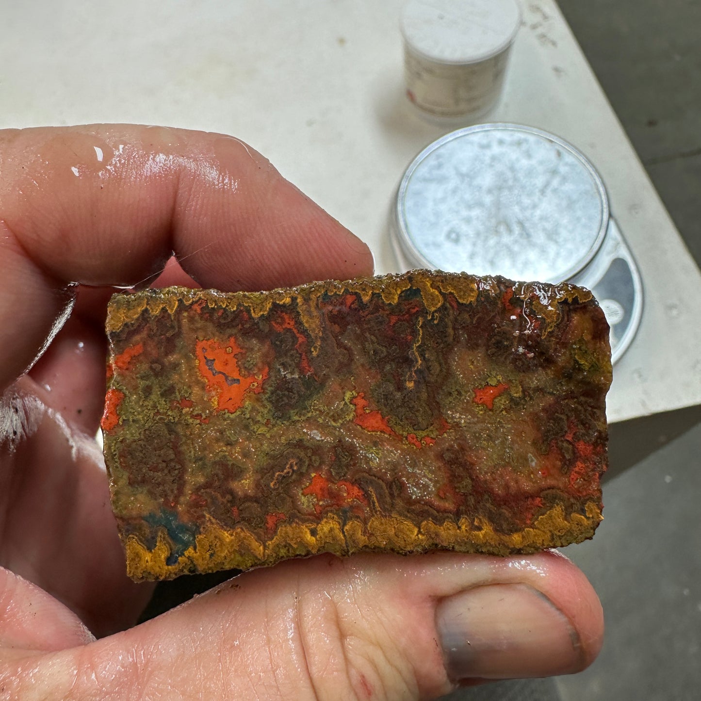 MOROCCAN SEAM AGATE Rough - 9.4ozs