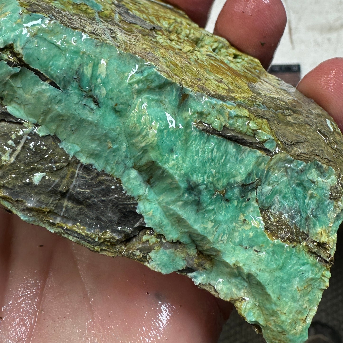 BROKEN ARROW VARISCITE Rough - 438 grams