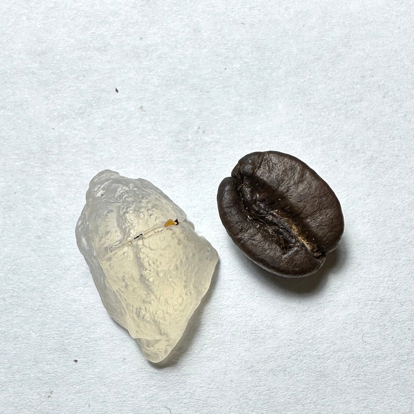 6.00ct Mexican FIRE OPAL Facet Rough