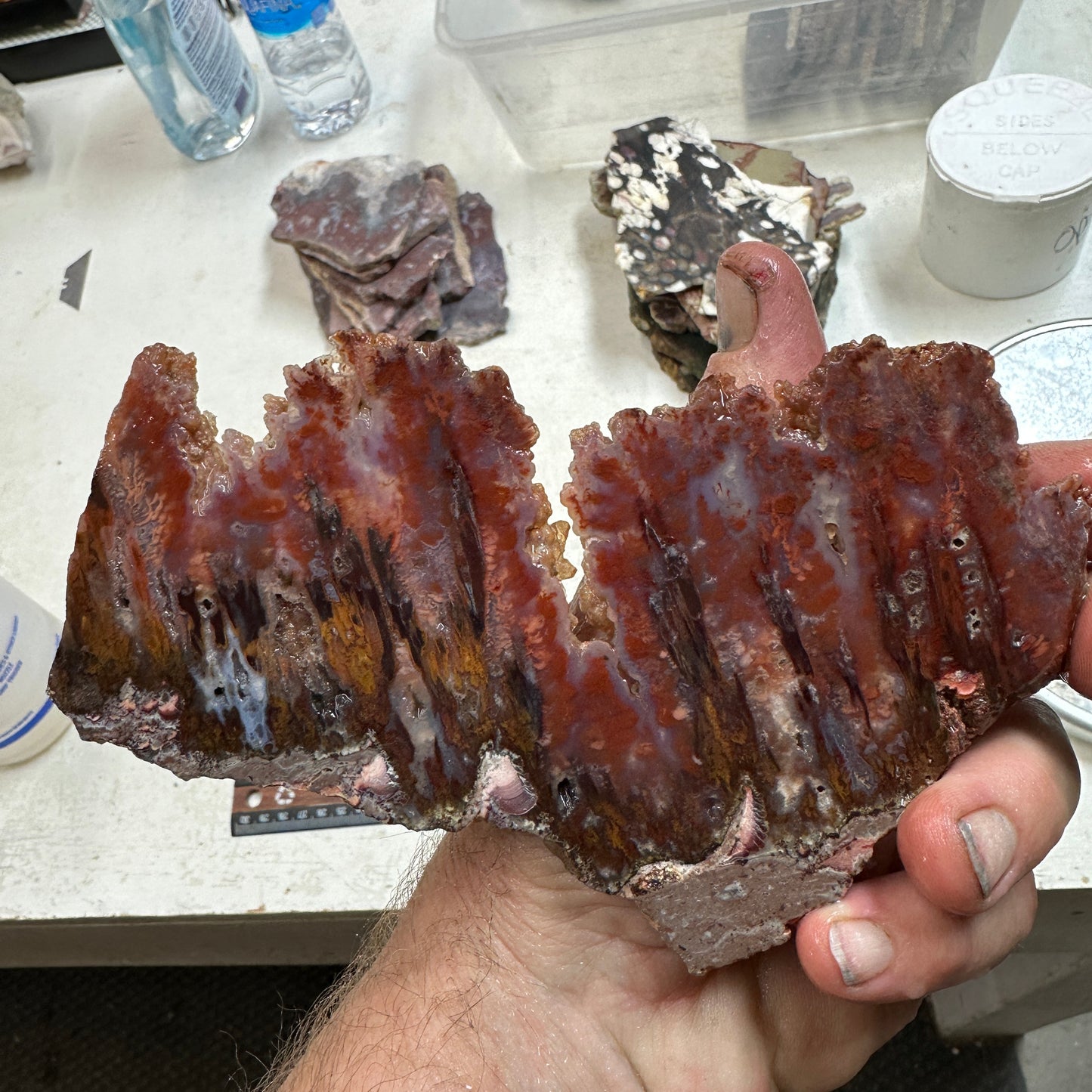 SICAT PLUME AGATE Slab - 156 grams