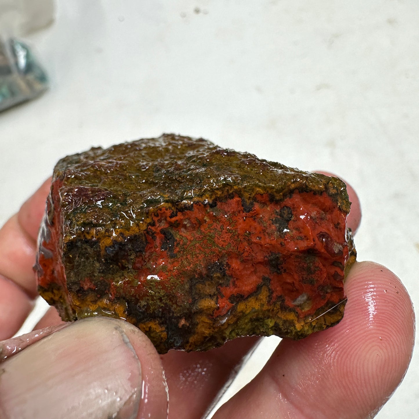 MOROCCAN SEAM AGATE Rough - 0.32 Pounds