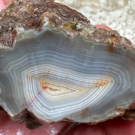 MOROCCAN AGATE Rough - 0.66 Pounds