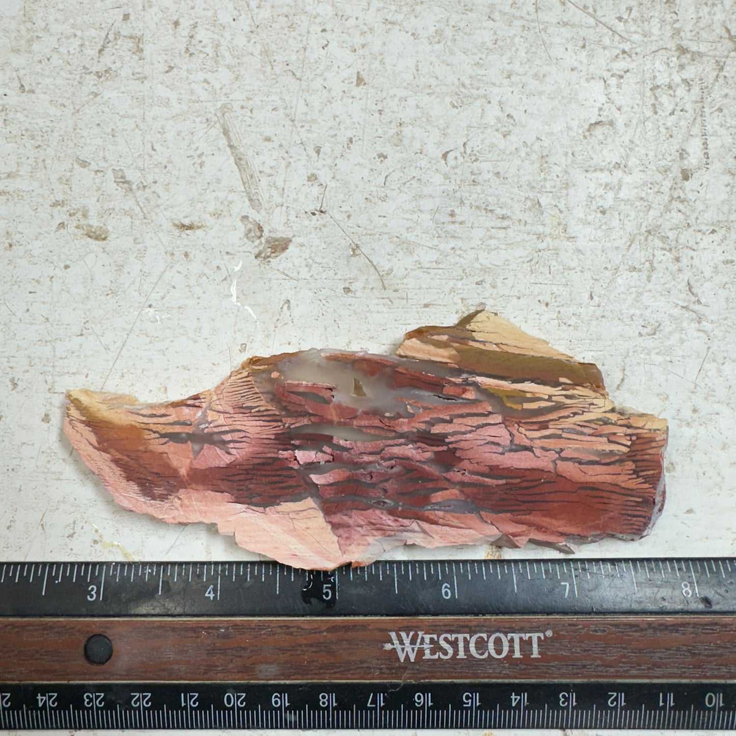 SUNSET HOWARDITE Slab - 63 grams